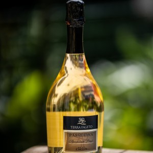 Terra Fageto - Clélia